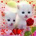 Vilma Barraza - Facebook