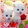 Vilma Barraza - @vilma23477 - TikTok