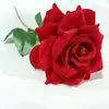 Vilma Barrientos - @vilma.barrientos62 - TikTok