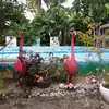 vilmabartolome245 - @vilmabartolome245 - TikTok