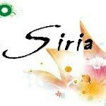 Siria Boutique - @vilmablanco7 - Instagram