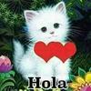 Vilma Blanco889 - @vilmablanco25 - TikTok