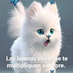 vilma blanco - @vilmablanco3059 - Instagram