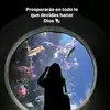 @Vilmabonilla7356 - @vilmabonilla42 - TikTok