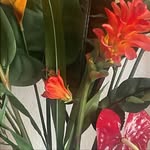 Vilma Cano - @cano_vilma - Instagram