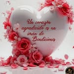 Vilma Cano Alvarado - @vilmacanoalvarado - Instagram