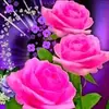 Vilma Carrillo - @vilma.carrillo24 - TikTok