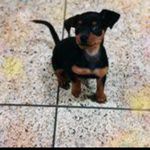 Vilma Crespo - @crespo.vilma - Instagram