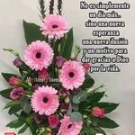 Vilma Crespo Alba - @vilmacrespoalba - Instagram