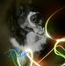 Wilma Goldenstein - Facebook