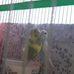 Vilma Herrera - Facebook