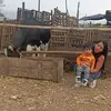 vilma joaquin - @proyectosmarbi - TikTok