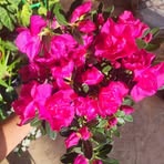 Maria Vilma Lacerda - Facebook