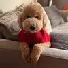 Vilma Marquez - @vilmamarquez81 - TikTok