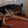 Vilma Mendez - @vilmamendez97 - TikTok