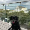 Vilma Mendez - @vilma.mendez54 - TikTok