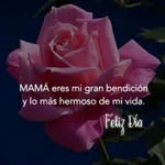 vilma pacheco - @vilmapacheco2018 - Instagram