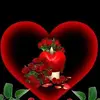 Padilla Vilma - @padilla.vilma - TikTok