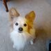 Vilma Ritchie-smith - Facebook