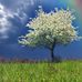 Velma Robbins - Facebook
