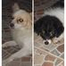 Vilma Roman - Facebook