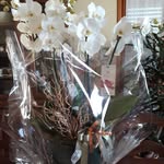 vilma1946 - @vilmarubini - Instagram