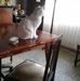 Vilma Russo - Facebook