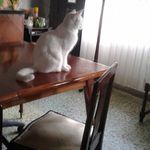 Vilma Russo - @vilma.russo.969 - Instagram