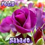 vilma saavedra - @vilmasaavedra7 - Instagram