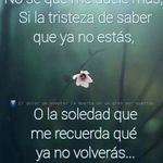 Vilma Saavedra - @vilma.saavedra2 - Instagram