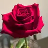 Vilma - @vilmasierra193 - TikTok
