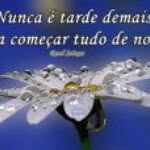 Vilma Simão - @vilmasims - Instagram
