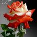Vilma Small - Facebook