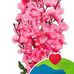 Bimal Jana - Facebook