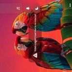 Vimla Gaur - Facebook