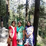 Vimla Gaur - @vimlagaur - Instagram