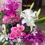 Vimla Mehta - @vimlaentp - Instagram