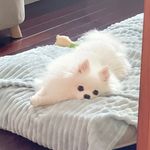 Vina Wang - @vina.wang1012 - Instagram