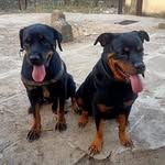 Vinay Bangera - @bangeravinay - Instagram