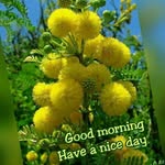 Vinay Sethi - @sethi6081 - Instagram