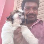 Vinayaga Murthy - Facebook