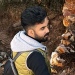 Vinayak Joshi - @vinayak_joshii - Instagram