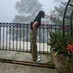 Lam Allan Vincci - @lamvincci - Instagram