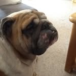 @vince_arobaze - Instagram