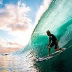 Vince Ash - @vince.ash - Instagram