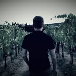 Vince Baker - @bakervince - Instagram