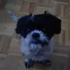 vince berry - @vince.berry8 - TikTok