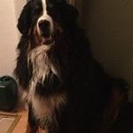Vince Cooper - @vincecooper9307 - Instagram