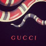 Vince Cooper - @vincecooper3 - Instagram