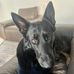Vincent Davies - Facebook
